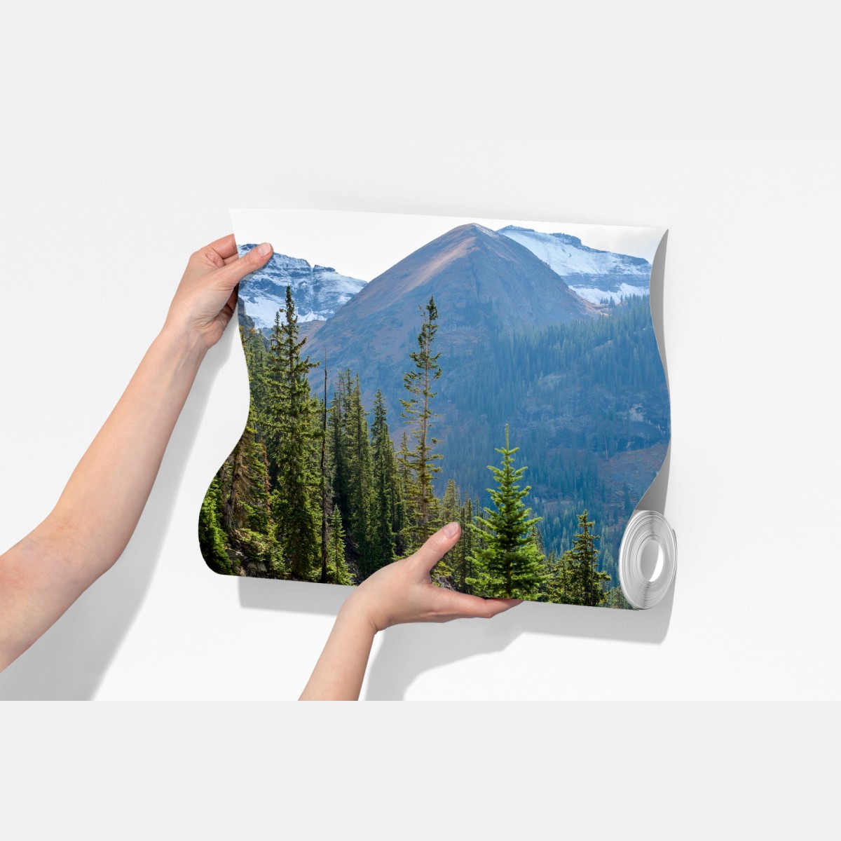 Fototapeta górski szlak przez alpejski las – Wallissimo® Fototapeta górski szlak przez alpejski las – Wallissimo®