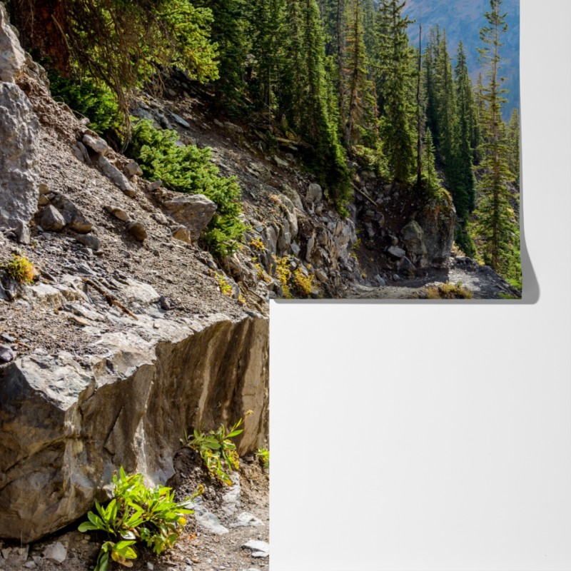 Fototapeta górski szlak przez alpejski las – Wallissimo® Fototapeta górski szlak przez alpejski las – Wallissimo®