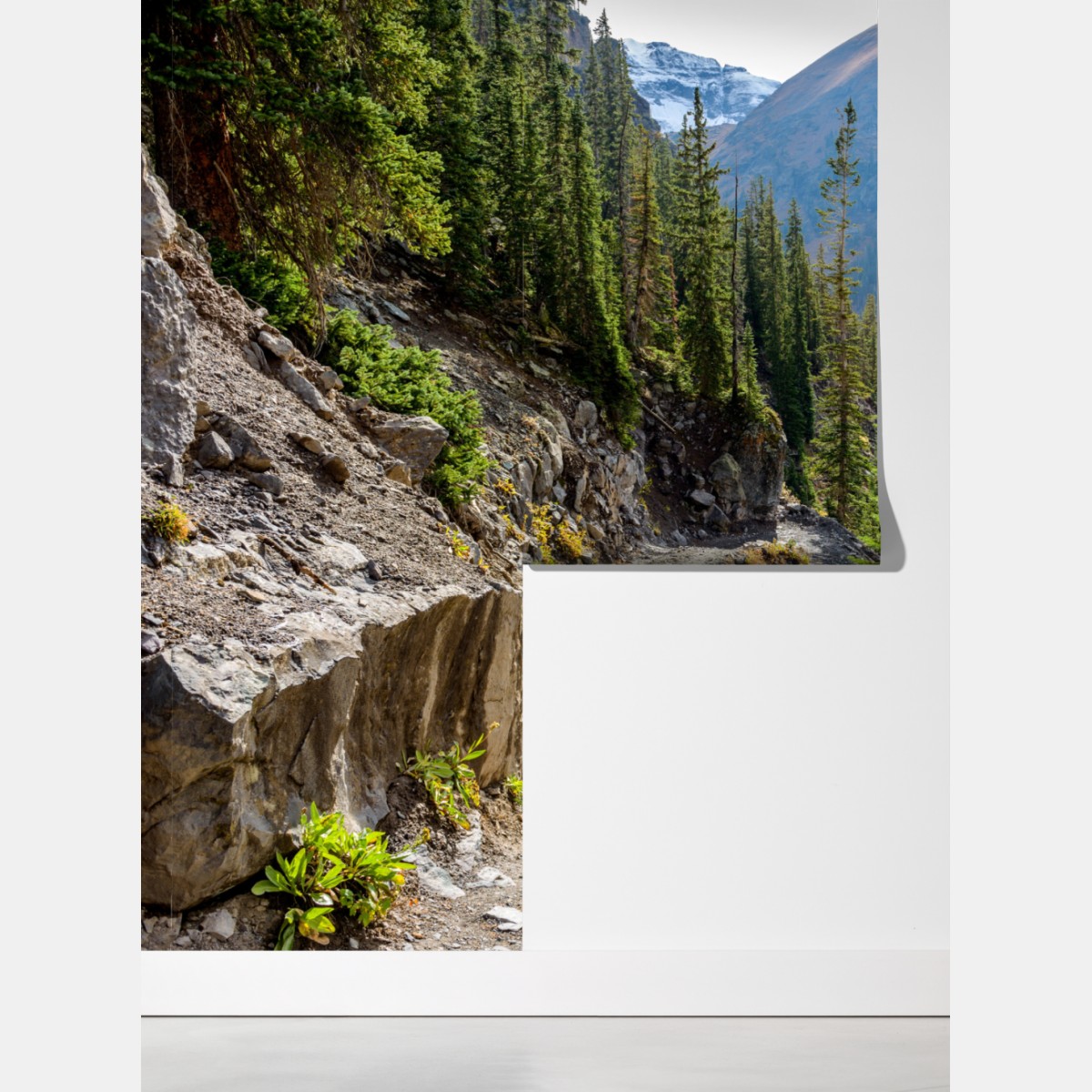 Fototapeta górski szlak przez alpejski las – Wallissimo® Fototapeta górski szlak przez alpejski las – Wallissimo®