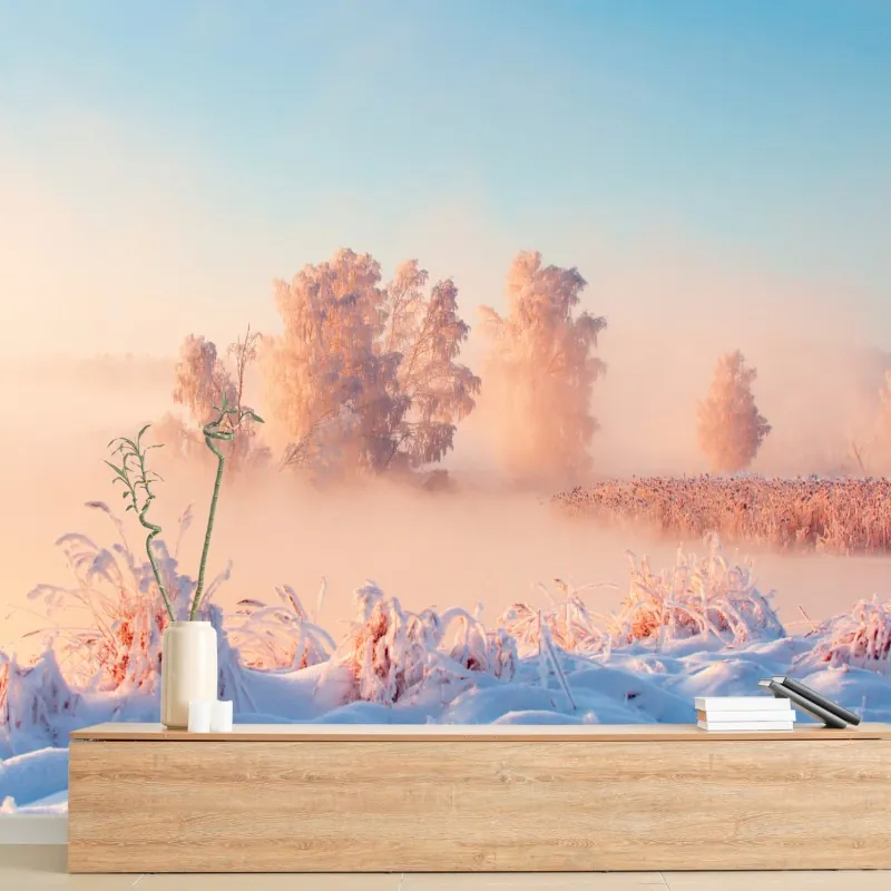 Fototapeta zimowy wschód słońca nad oszronioną łąką