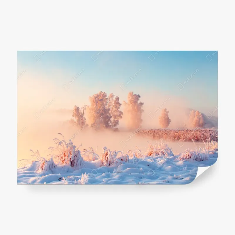 Fototapeta zimowy wschód słońca nad oszronioną łąką