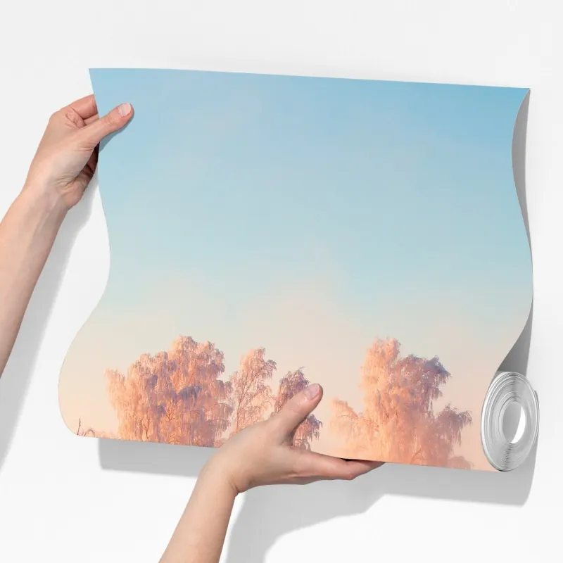 Fototapeta zimowy wschód słońca nad oszronioną łąką – Wallissimo® Fototapeta zimowy wschód słońca nad oszronioną łąką – Wallissimo®