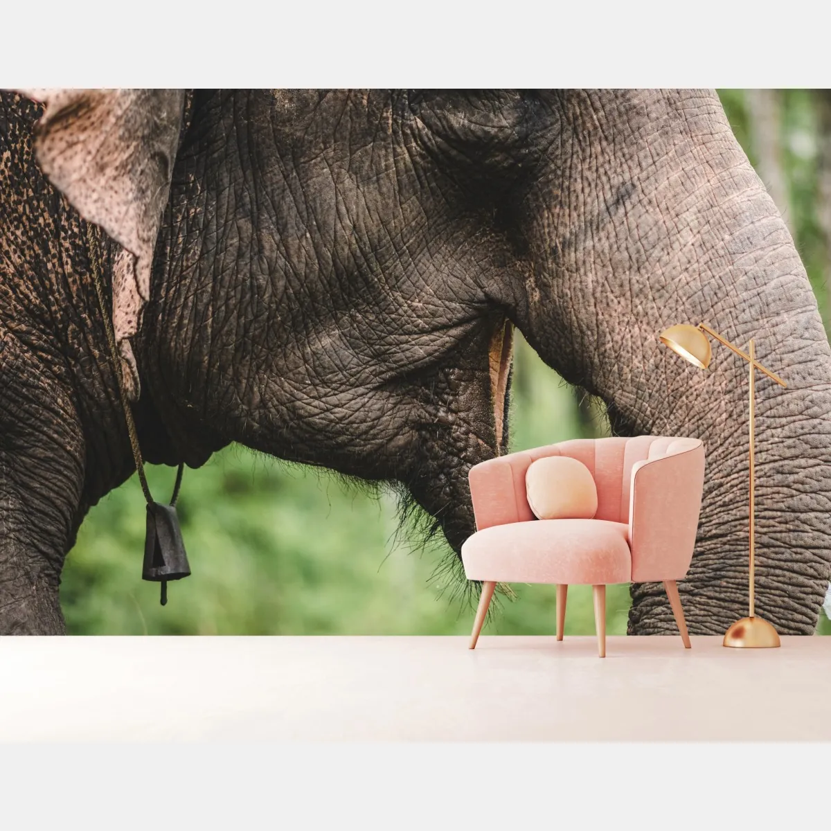 Fototapeta zbliżenie na słonia azjatyckiego – Wallissimo® Fototapeta zbliżenie na słonia azjatyckiego – Wallissimo®