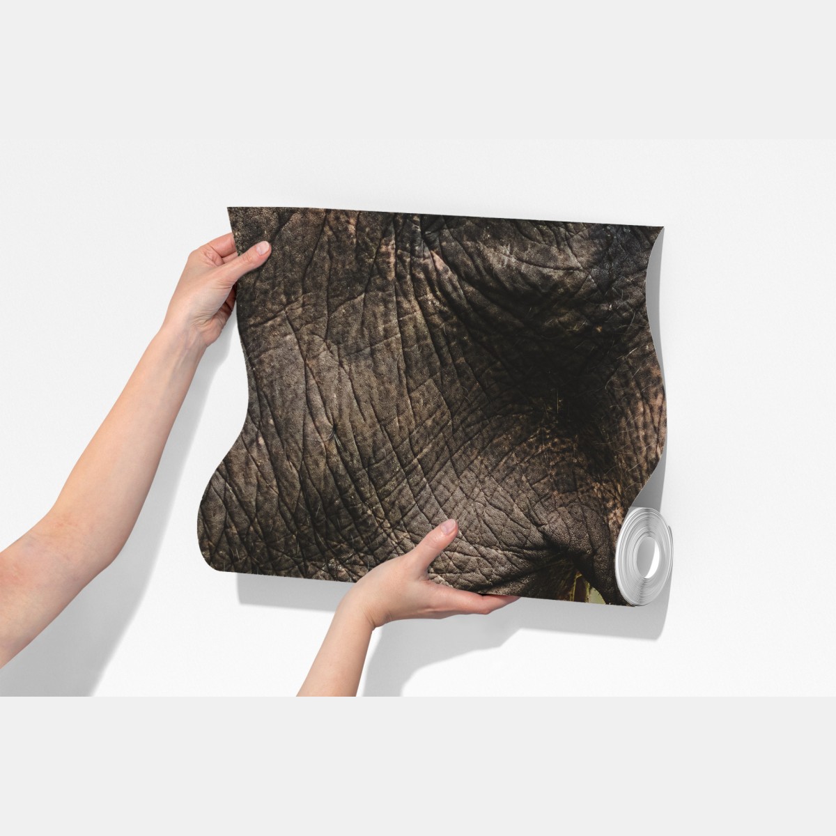 Fototapeta zbliżenie na słonia azjatyckiego – Wallissimo® Fototapeta zbliżenie na słonia azjatyckiego – Wallissimo®