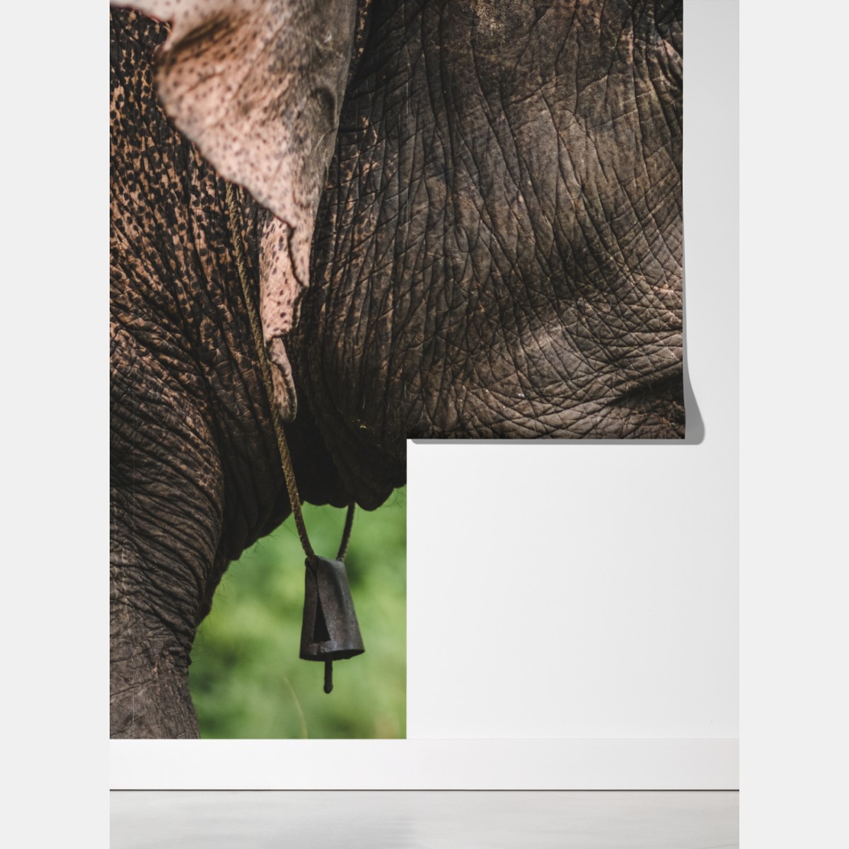 Fototapeta zbliżenie na słonia azjatyckiego – Wallissimo® Fototapeta zbliżenie na słonia azjatyckiego – Wallissimo®