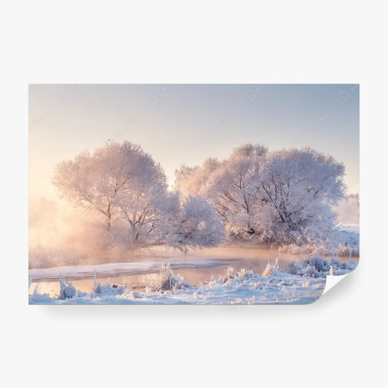 Fototapeta oszronione drzewa o świcie