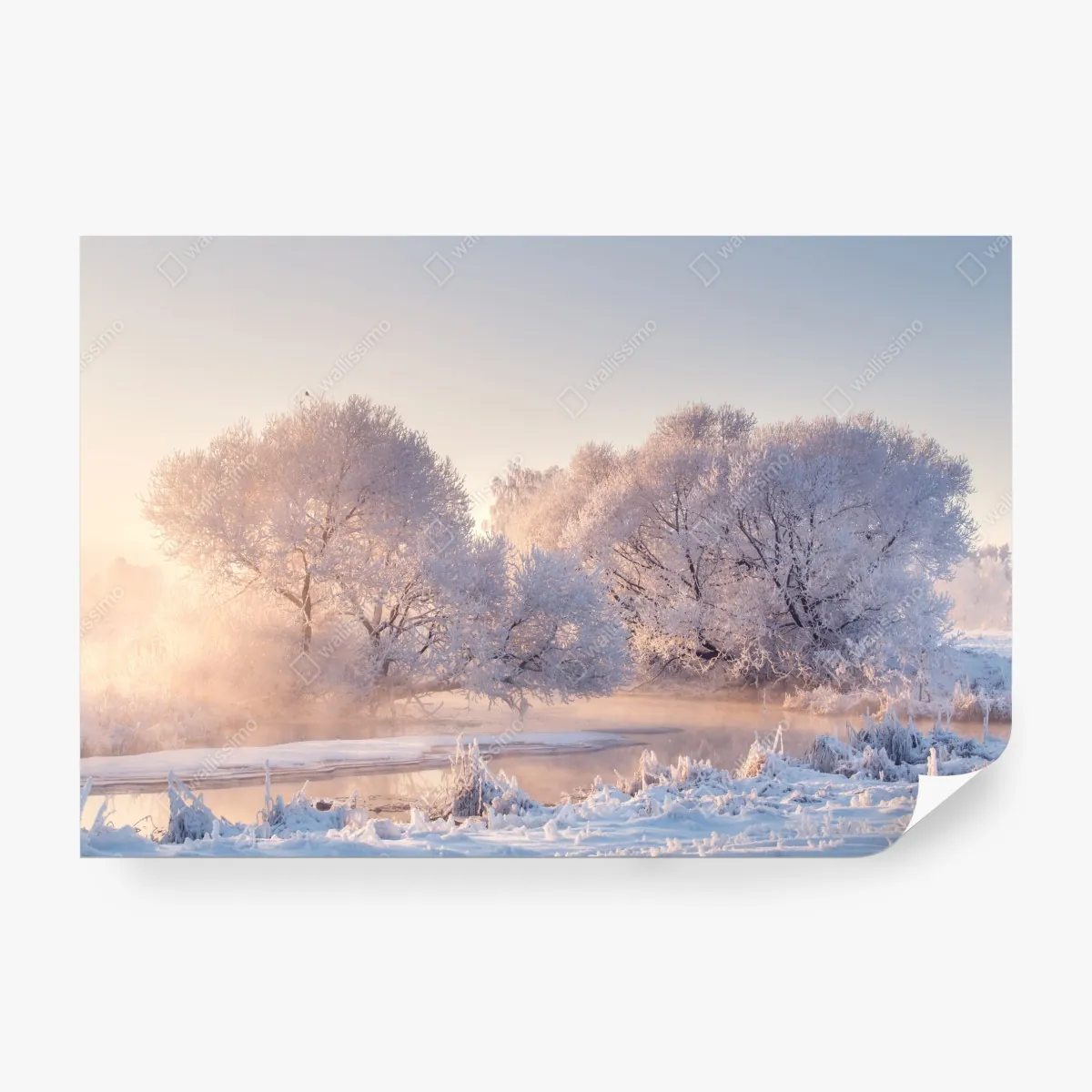 Fototapeta oszronione drzewa o świcie – Wallissimo® Fototapeta oszronione drzewa o świcie – Wallissimo®