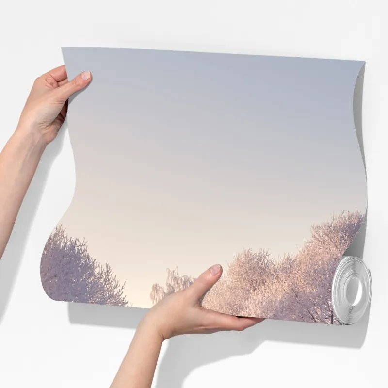 Fototapeta oszronione drzewa o świcie – Wallissimo® Fototapeta oszronione drzewa o świcie – Wallissimo®