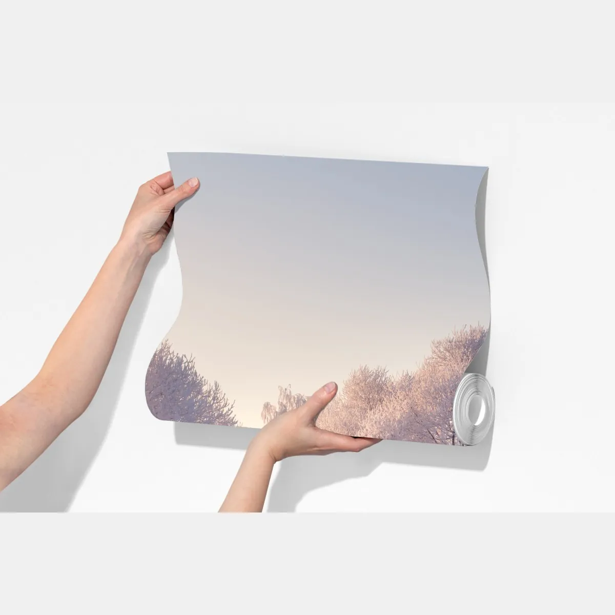 Fototapeta oszronione drzewa o świcie – Wallissimo® Fototapeta oszronione drzewa o świcie – Wallissimo®