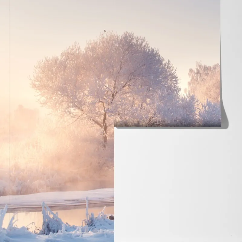 Fototapeta oszronione drzewa o świcie – Wallissimo® Fototapeta oszronione drzewa o świcie – Wallissimo®