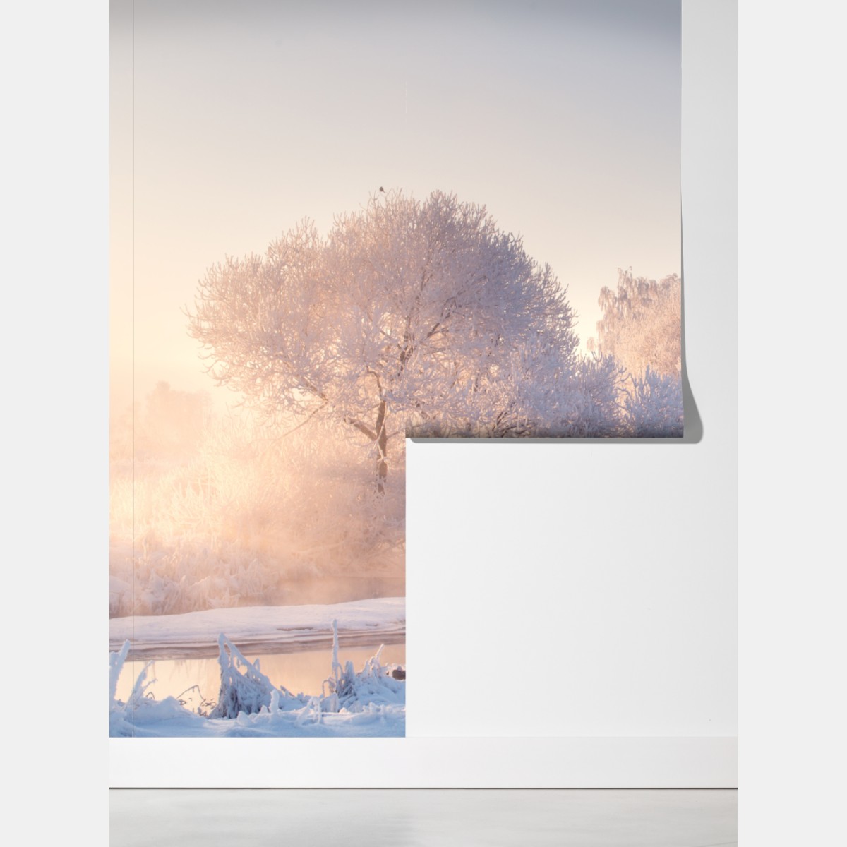 Fototapeta oszronione drzewa o świcie – Wallissimo® Fototapeta oszronione drzewa o świcie – Wallissimo®