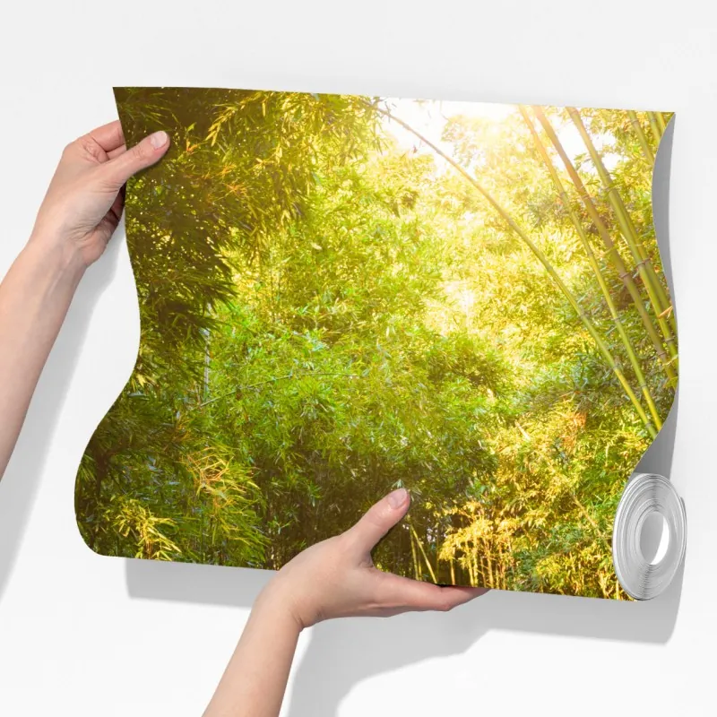 Fototapeta spokojna ścieżka w bambusowym lesie – Wallissimo® Fototapeta spokojna ścieżka w bambusowym lesie – Wallissimo®