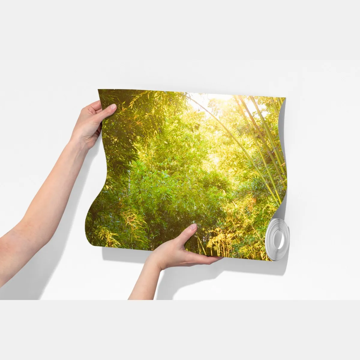 Fototapeta spokojna ścieżka w bambusowym lesie – Wallissimo® Fototapeta spokojna ścieżka w bambusowym lesie – Wallissimo®