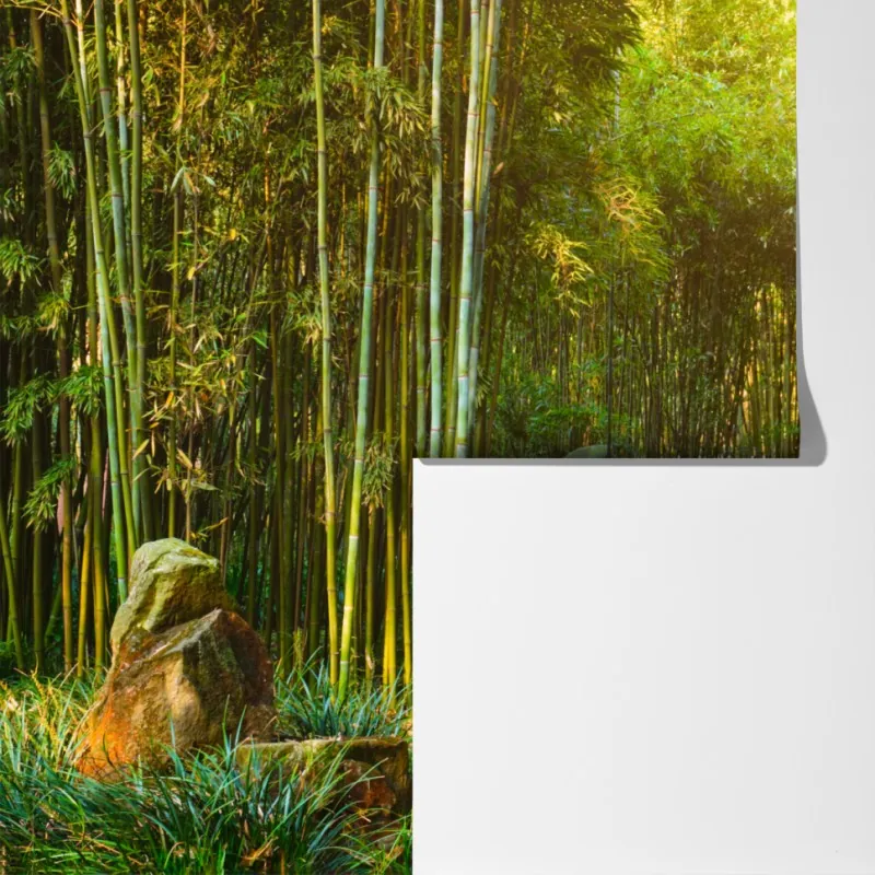 Fototapeta spokojna ścieżka w bambusowym lesie – Wallissimo® Fototapeta spokojna ścieżka w bambusowym lesie – Wallissimo®