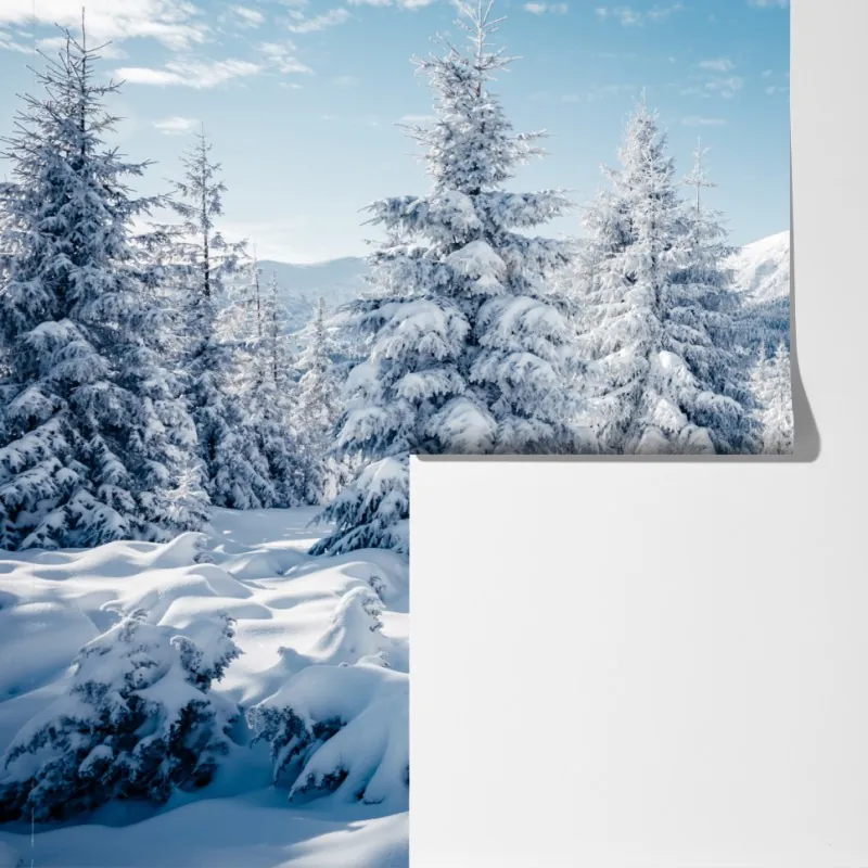 Fototapeta zimowy spokój w Karpatach – Wallissimo® Fototapeta zimowy spokój w Karpatach – Wallissimo®