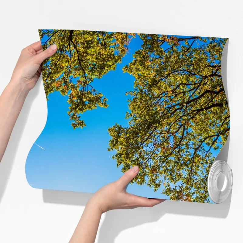 Fototapeta słoneczna łąka i wiejska droga o zachodzie słońca – Wallissimo® Fototapeta słoneczna łąka i wiejska droga o zachodzie słońca – Wallissimo®