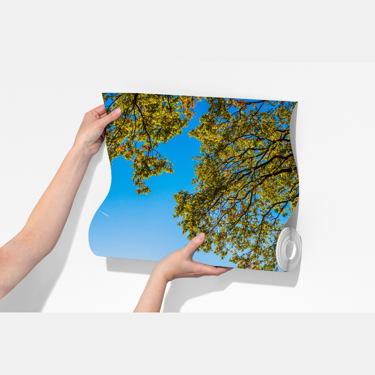 Fototapeta słoneczna łąka i wiejska droga o zachodzie słońca – Wallissimo® Fototapeta słoneczna łąka i wiejska droga o zachodzie słońca – Wallissimo®