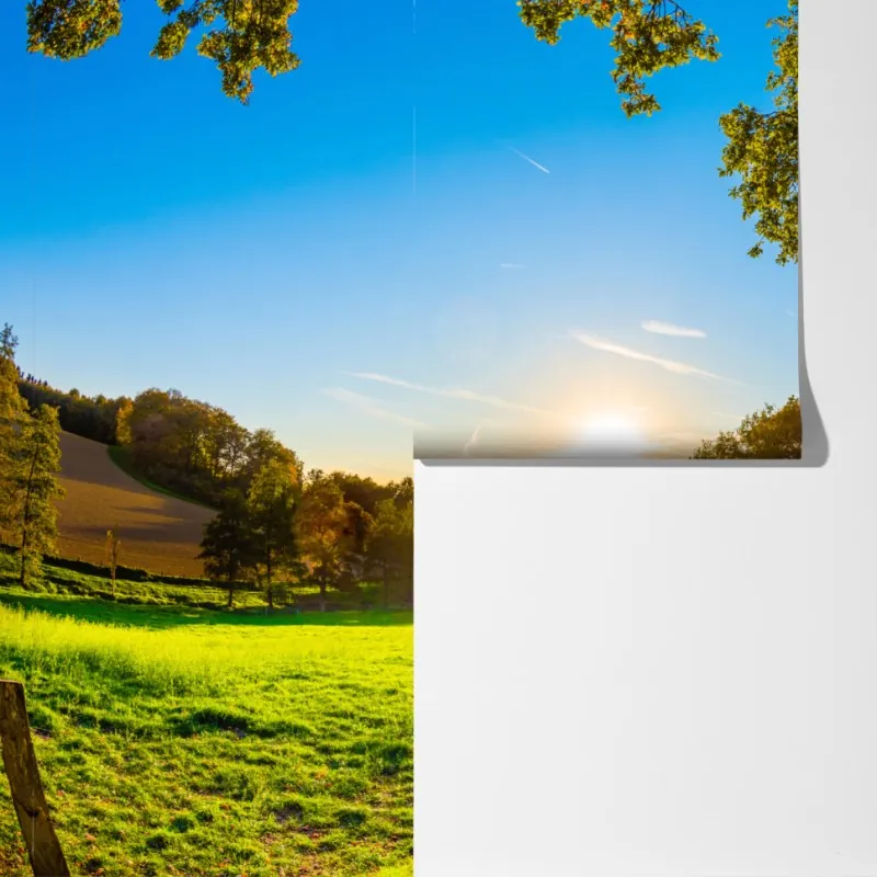 Fototapeta słoneczna łąka i wiejska droga o zachodzie słońca – Wallissimo® Fototapeta słoneczna łąka i wiejska droga o zachodzie słońca – Wallissimo®