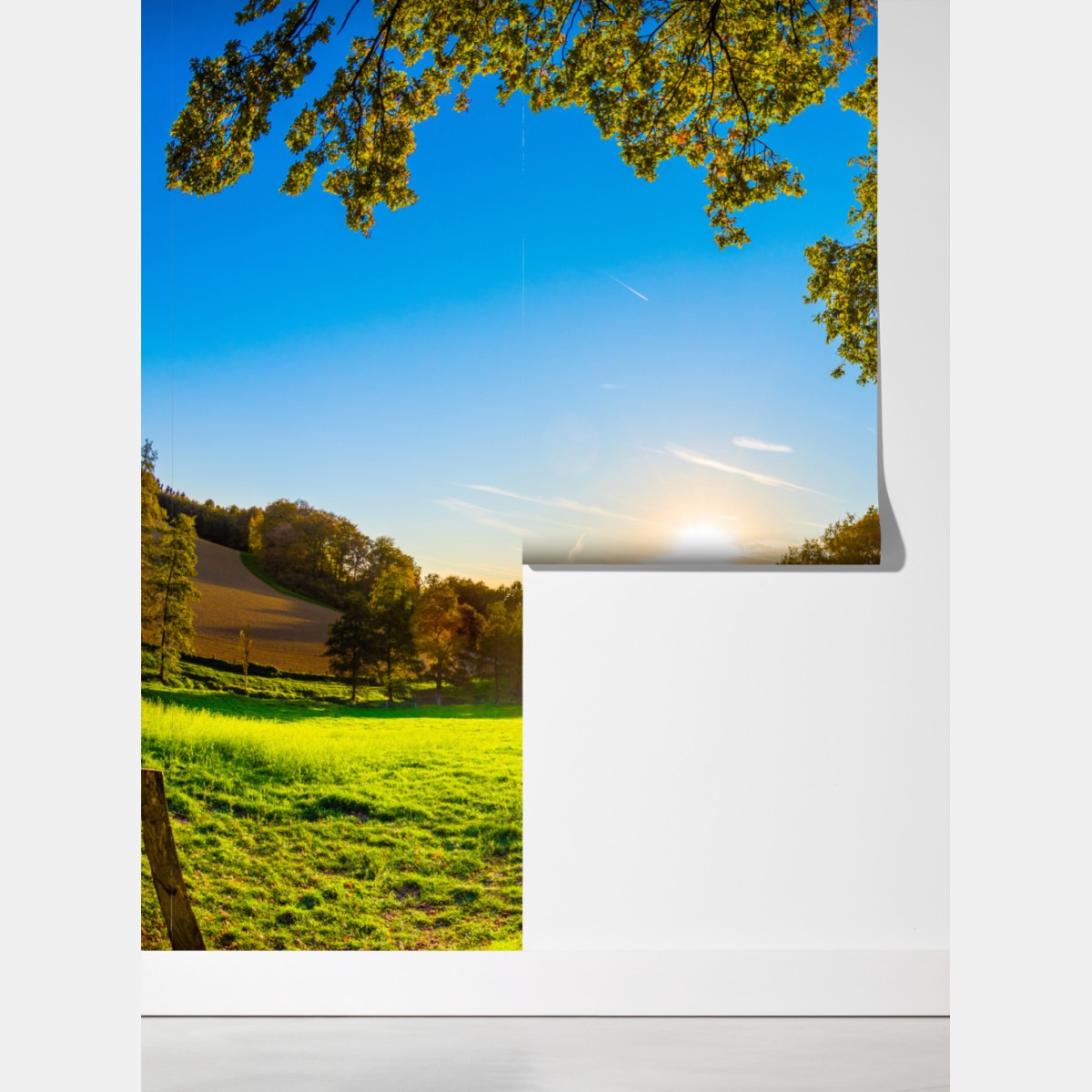 Fototapeta słoneczna łąka i wiejska droga o zachodzie słońca – Wallissimo® Fototapeta słoneczna łąka i wiejska droga o zachodzie słońca – Wallissimo®