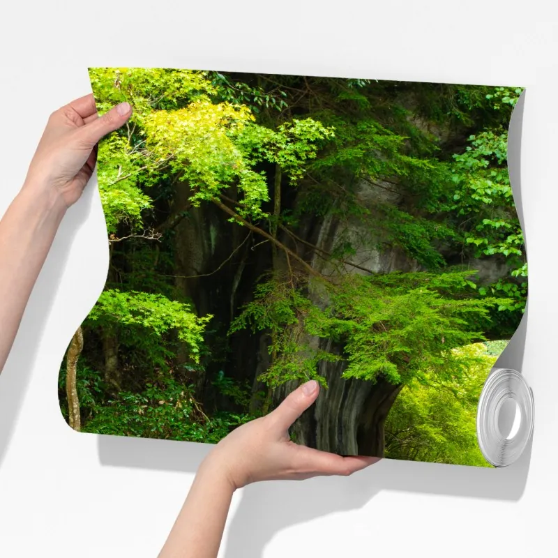 Fototapeta ukryty wodospad w skalnym łuku – Wallissimo® Fototapeta ukryty wodospad w skalnym łuku – Wallissimo®