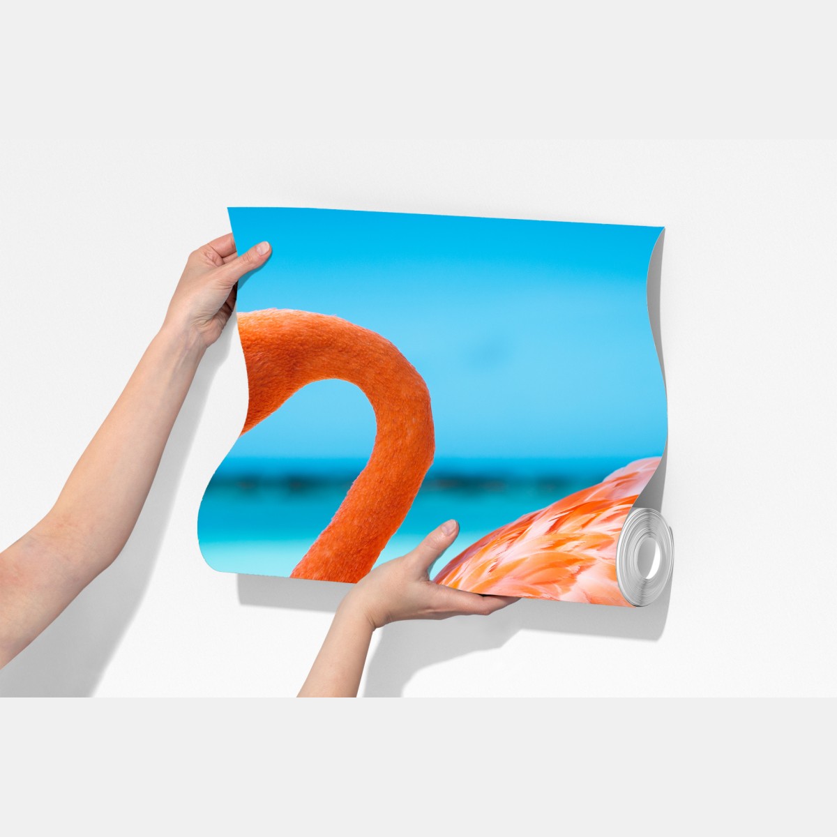 Fototapeta żywy różowy flaming na turkusowej plaży – Wallissimo® Fototapeta żywy różowy flaming na turkusowej plaży – Wallissimo®