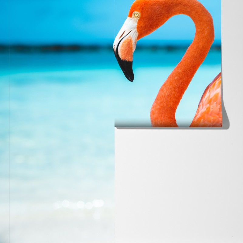 Fototapeta żywy różowy flaming na turkusowej plaży – Wallissimo® Fototapeta żywy różowy flaming na turkusowej plaży – Wallissimo®