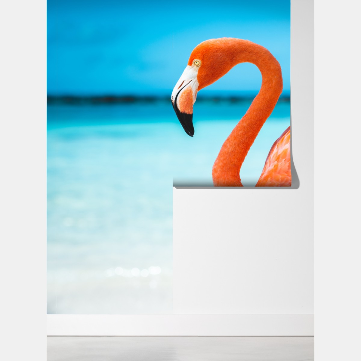 Fototapeta żywy różowy flaming na turkusowej plaży – Wallissimo® Fototapeta żywy różowy flaming na turkusowej plaży – Wallissimo®