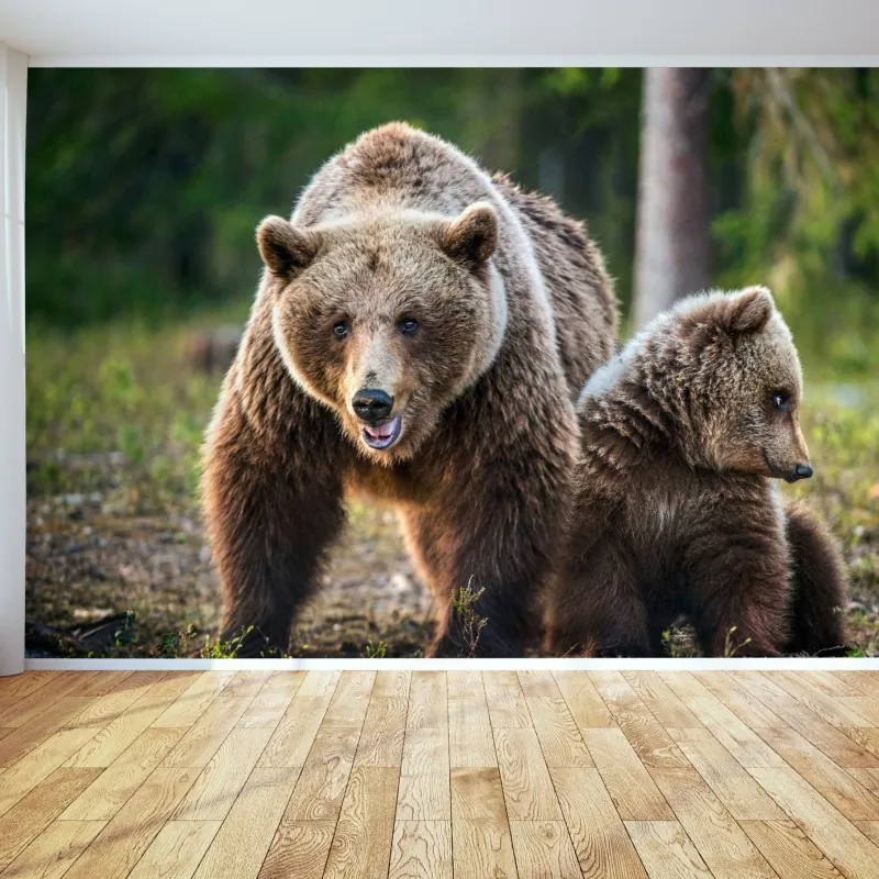 Fototapeta niedźwiedź brunatny z młodym w lesie