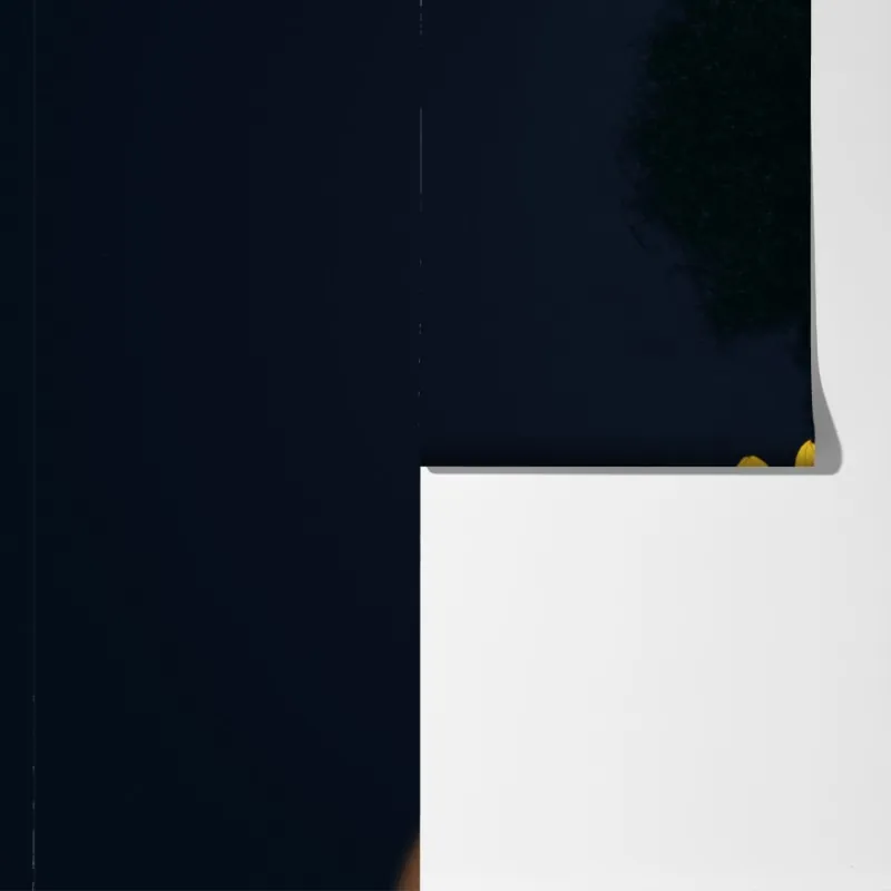 Fototapeta słonecznikowa muza: portret z płatkami słonecznika – Wallissimo® Fototapeta słonecznikowa muza: portret z płatkami słonecznika – Wallissimo®