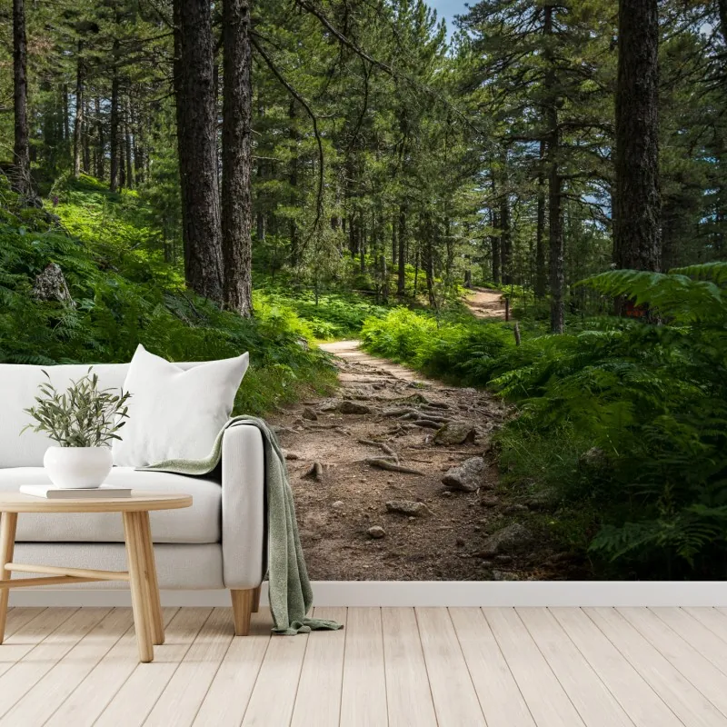 Fototapeta spokojna ścieżka leśna wśród bujnej zieleni