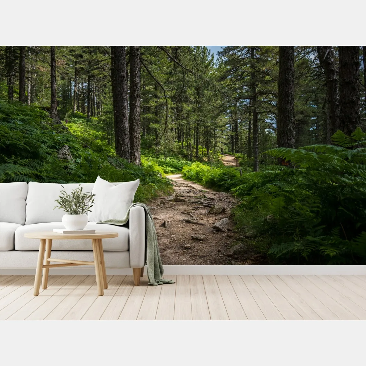 Fototapeta spokojna ścieżka leśna wśród bujnej zieleni – Wallissimo® Fototapeta spokojna ścieżka leśna wśród bujnej zieleni – Wallissimo®