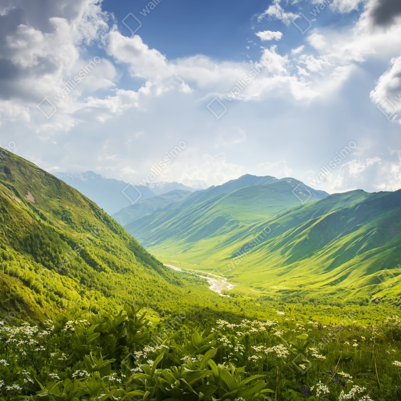 Fototapeta bujna zielona dolina górska – Wallissimo® Fototapeta bujna zielona dolina górska – Wallissimo®