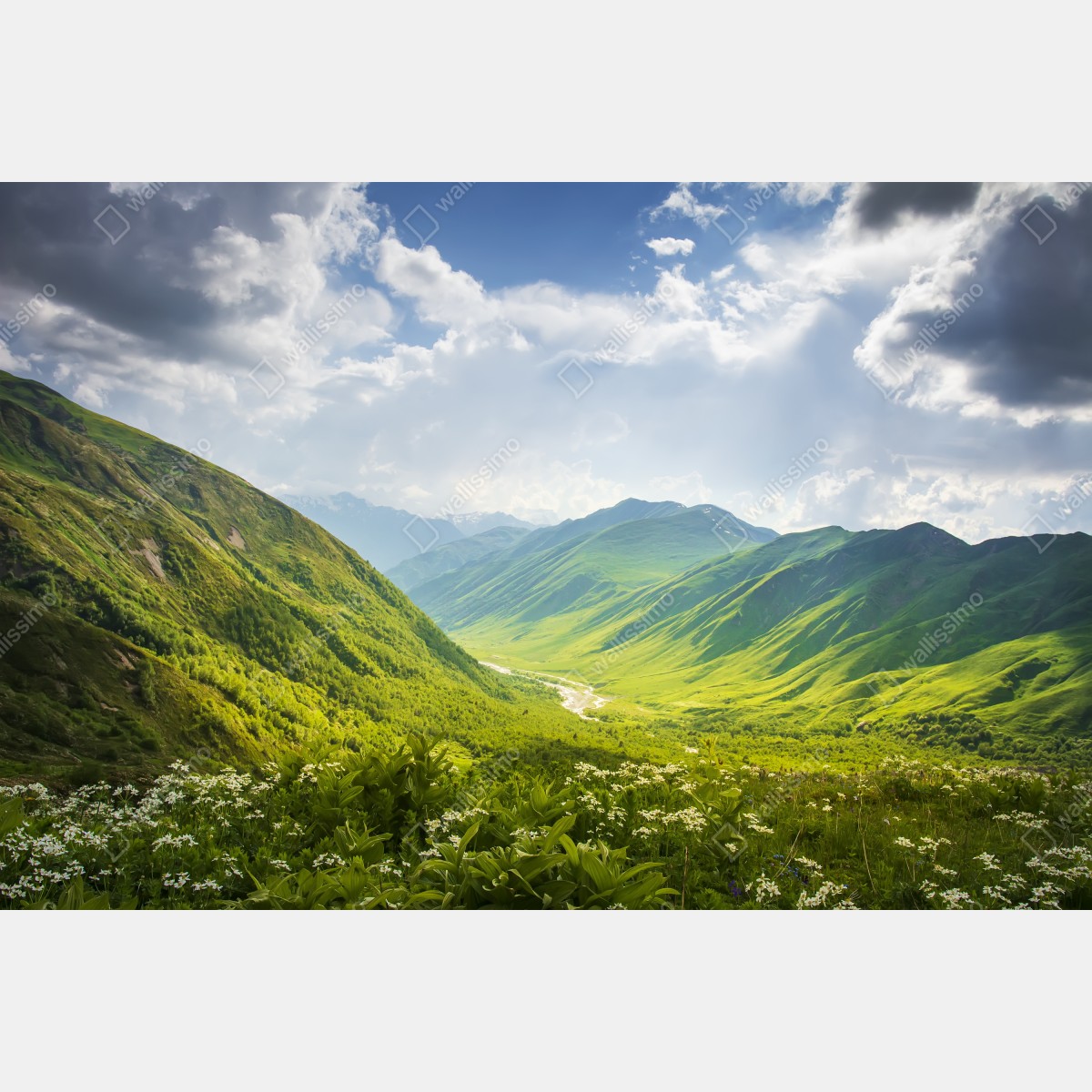 Fototapeta bujna zielona dolina górska – Wallissimo® Fototapeta bujna zielona dolina górska – Wallissimo®