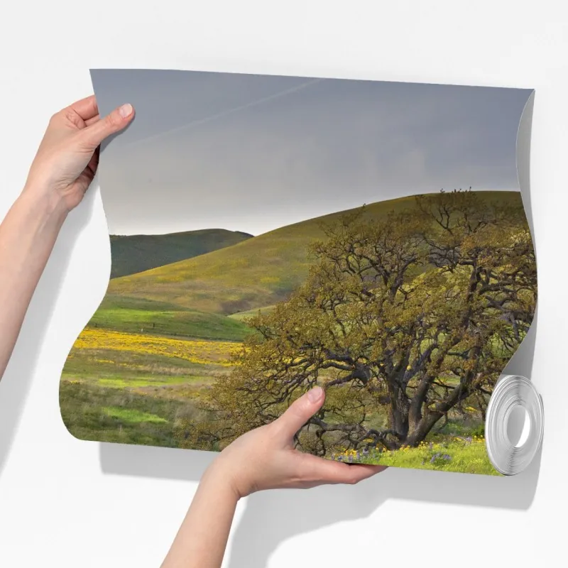 Fototapeta ścieżka przez złotą łąkę z dzikimi kwiatami – Wallissimo® Fototapeta ścieżka przez złotą łąkę z dzikimi kwiatami – Wallissimo®