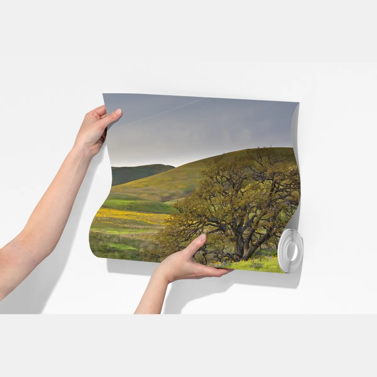 Fototapeta ścieżka przez złotą łąkę z dzikimi kwiatami – Wallissimo® Fototapeta ścieżka przez złotą łąkę z dzikimi kwiatami – Wallissimo®