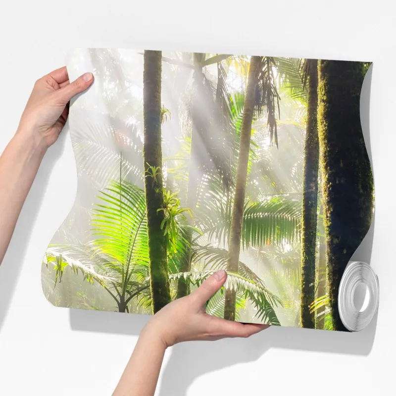 Fototapeta tropikalny las deszczowy z promieniami słońca – Wallissimo® Fototapeta tropikalny las deszczowy z promieniami słońca – Wallissimo®