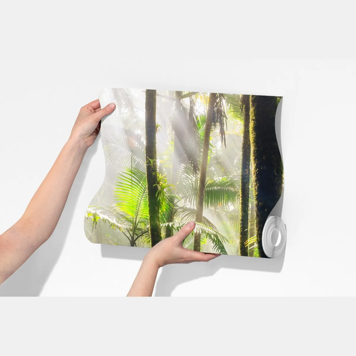 Fototapeta tropikalny las deszczowy z promieniami słońca – Wallissimo® Fototapeta tropikalny las deszczowy z promieniami słońca – Wallissimo®