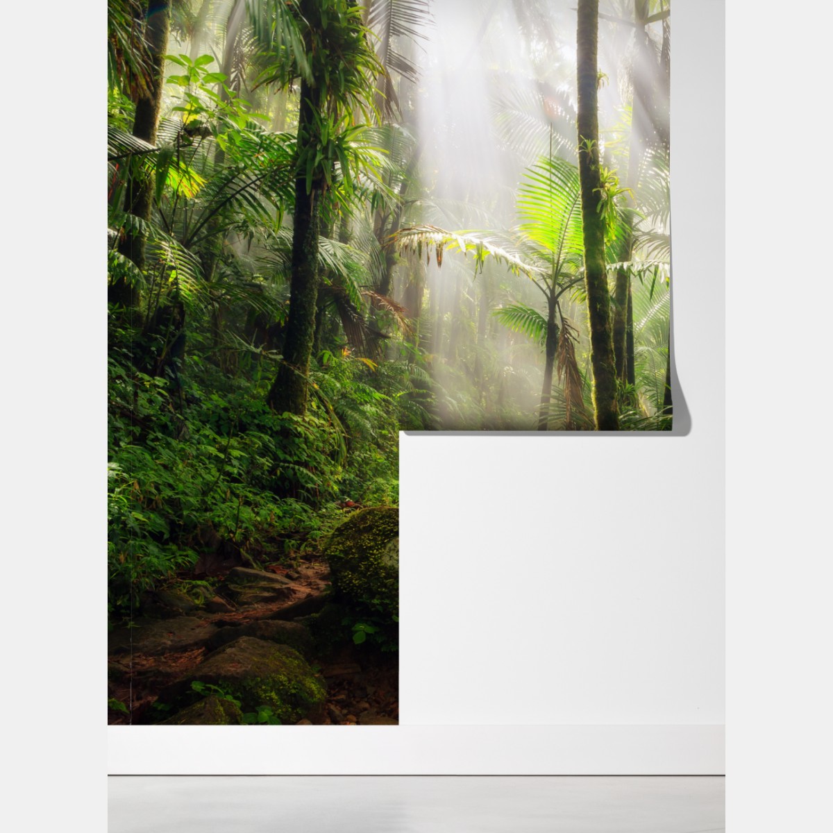 Fototapeta tropikalny las deszczowy z promieniami słońca – Wallissimo® Fototapeta tropikalny las deszczowy z promieniami słońca – Wallissimo®