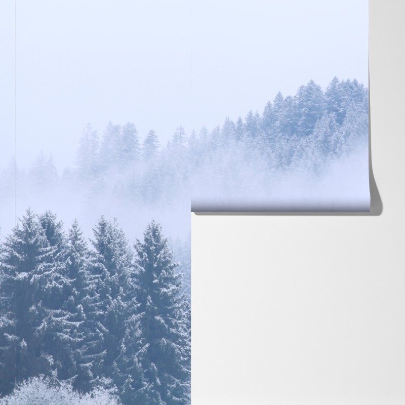 Fototapeta zimowa mgła nad lasem iglastym – Wallissimo® Fototapeta zimowa mgła nad lasem iglastym – Wallissimo®