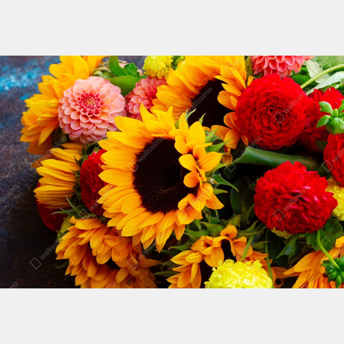 Fototapeta zbliżenie bukietu słoneczników i dali – Wallissimo® Fototapeta zbliżenie bukietu słoneczników i dali – Wallissimo®