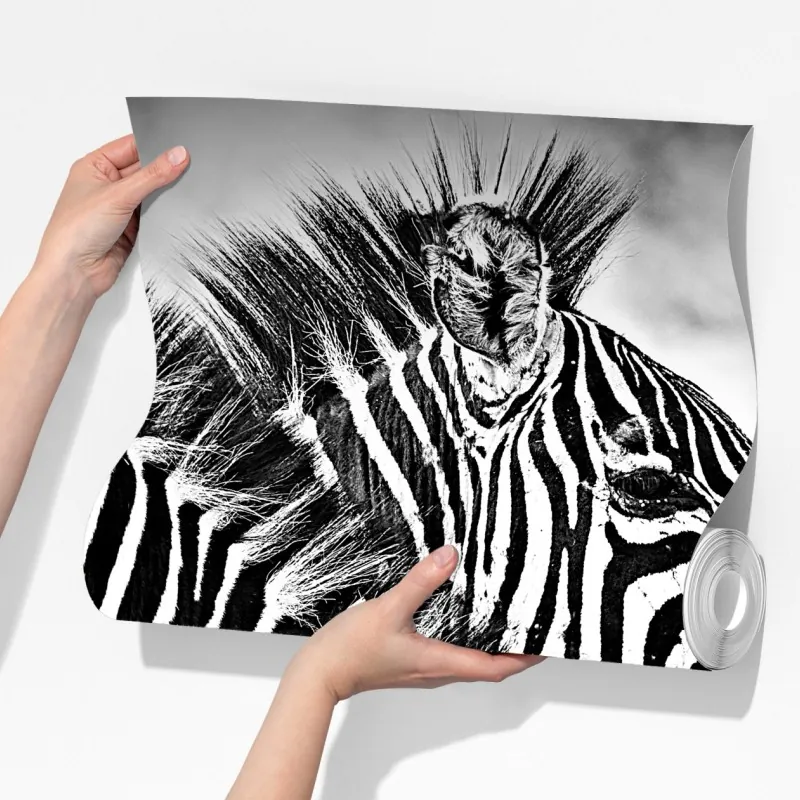 Fototapeta bliski portret zebr czarno-biały – Wallissimo® Fototapeta bliski portret zebr czarno-biały – Wallissimo®