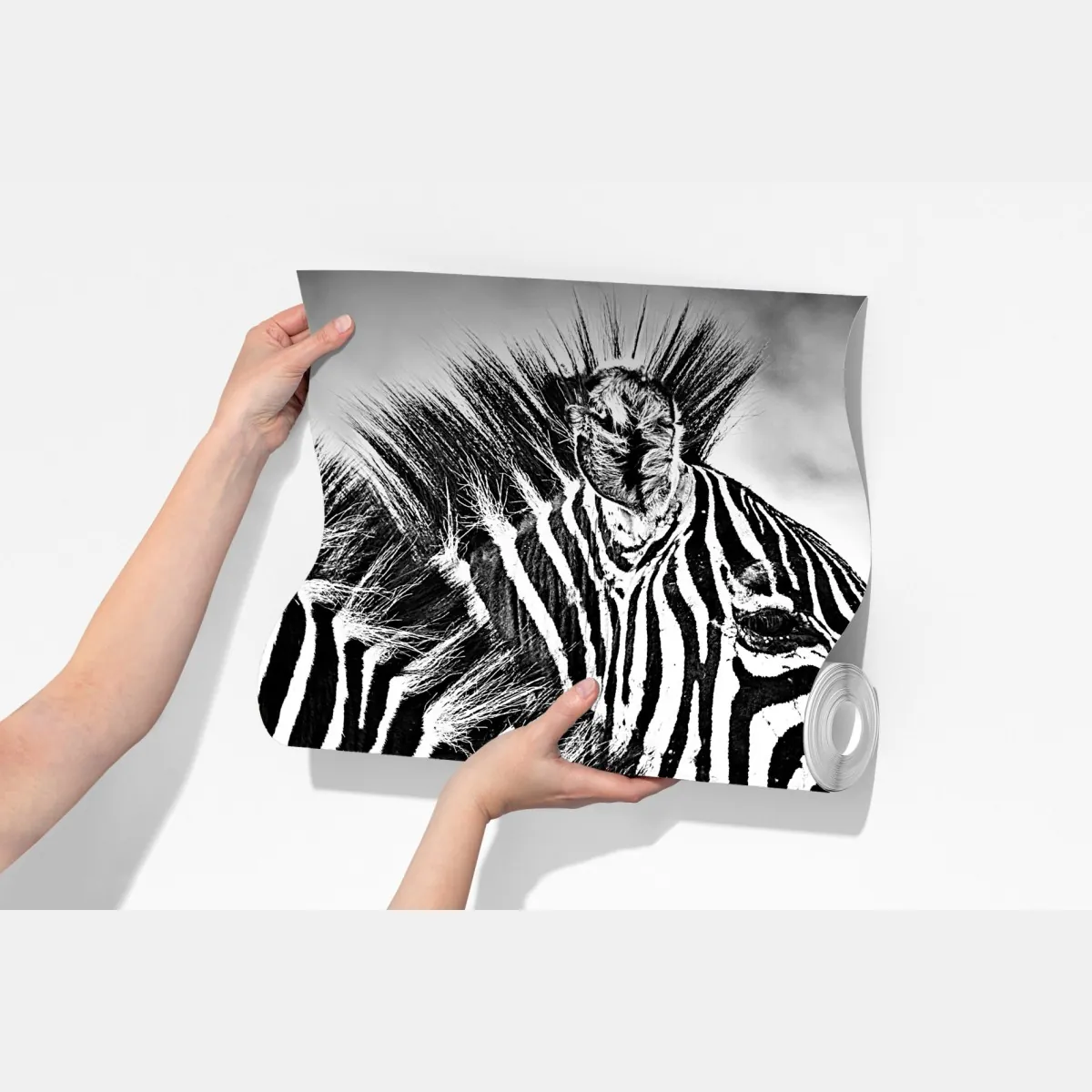 Fototapeta bliski portret zebr czarno-biały – Wallissimo® Fototapeta bliski portret zebr czarno-biały – Wallissimo®