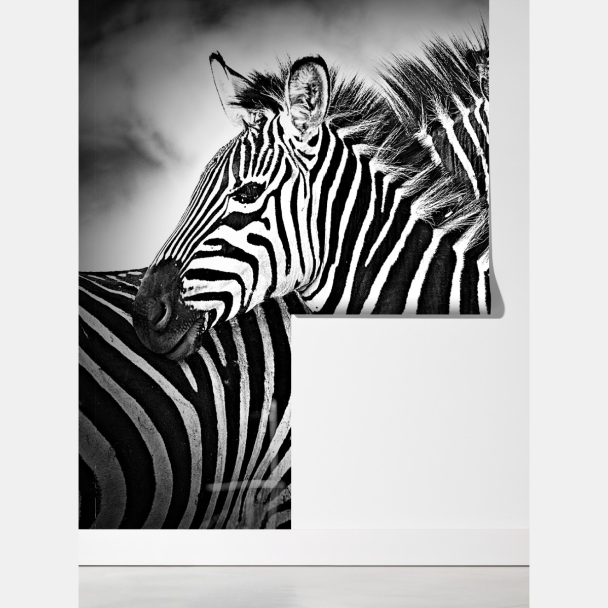 Fototapeta bliski portret zebr czarno-biały – Wallissimo® Fototapeta bliski portret zebr czarno-biały – Wallissimo®