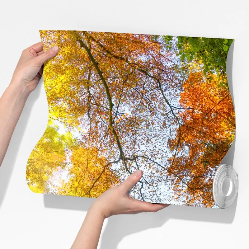 Fototapeta złota jesienna ścieżka przez las – Wallissimo® Fototapeta złota jesienna ścieżka przez las – Wallissimo®