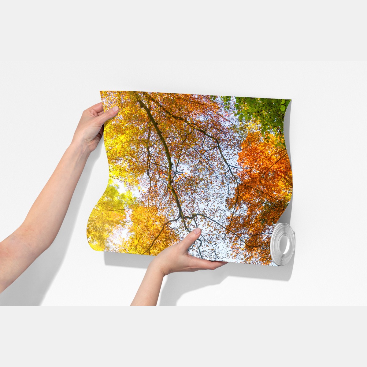 Fototapeta złota jesienna ścieżka przez las – Wallissimo® Fototapeta złota jesienna ścieżka przez las – Wallissimo®