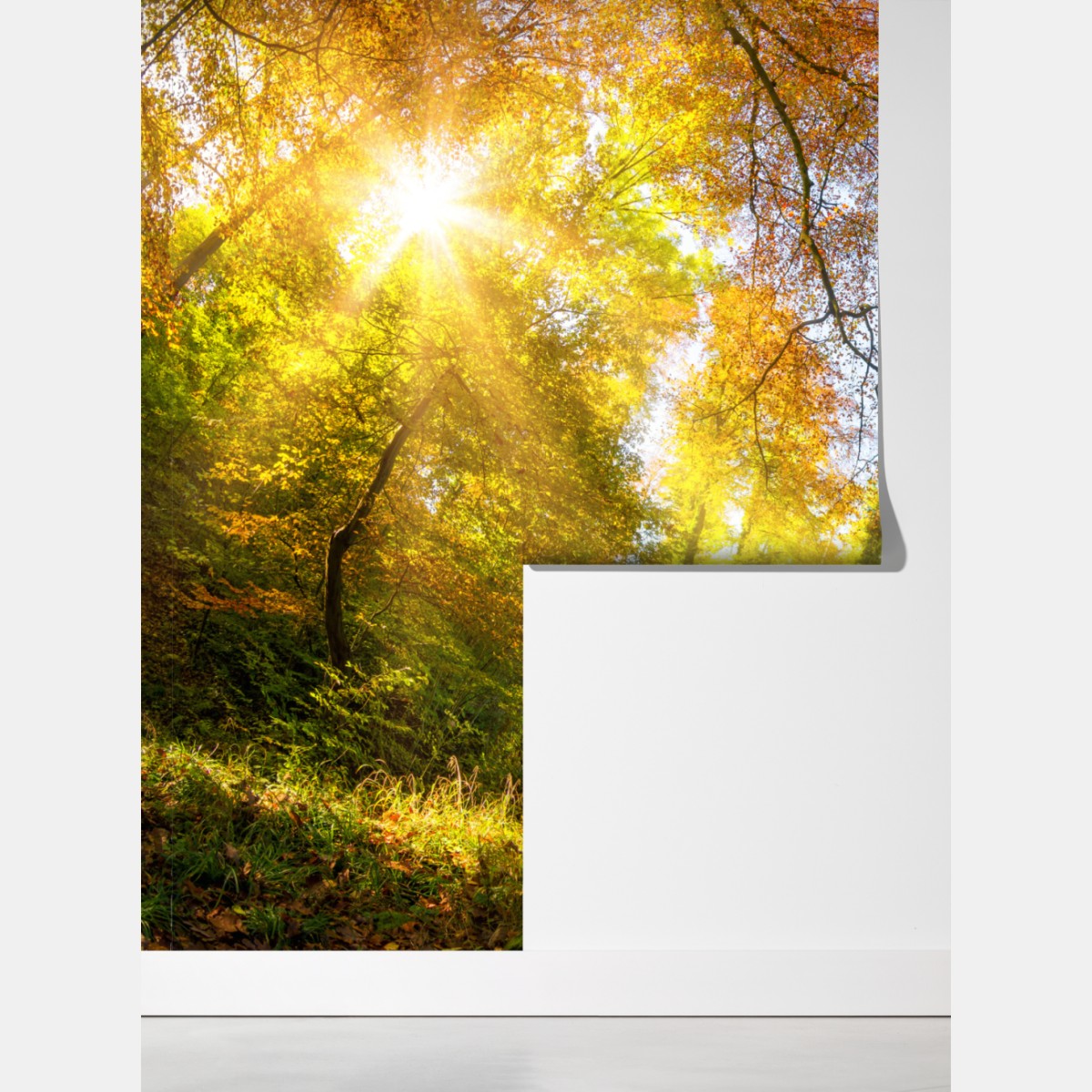 Fototapeta złota jesienna ścieżka przez las – Wallissimo® Fototapeta złota jesienna ścieżka przez las – Wallissimo®