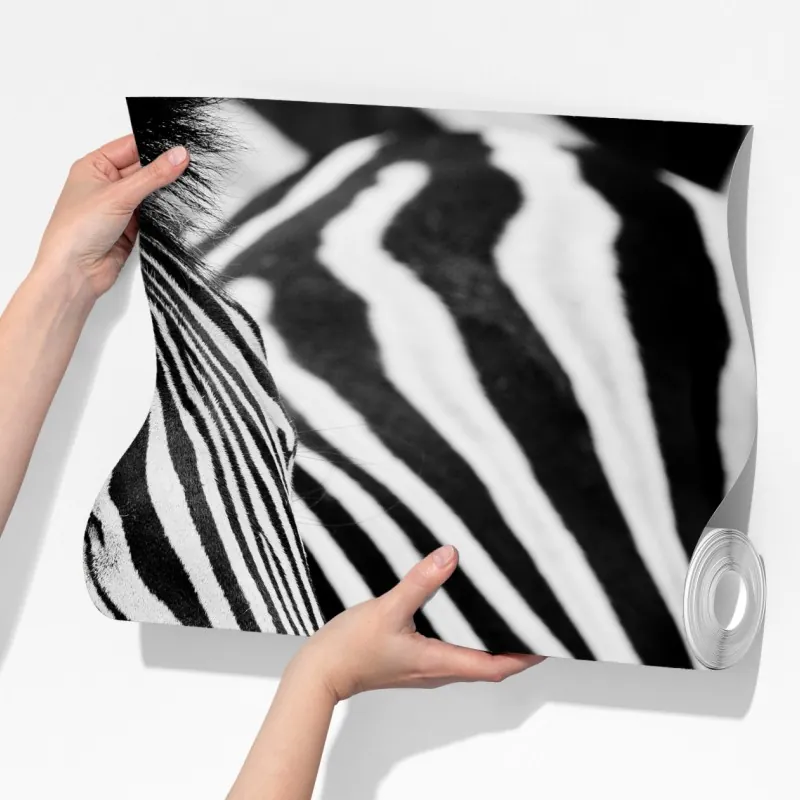Fototapeta zebra w monochromatycznych paskach – Wallissimo® Fototapeta zebra w monochromatycznych paskach – Wallissimo®