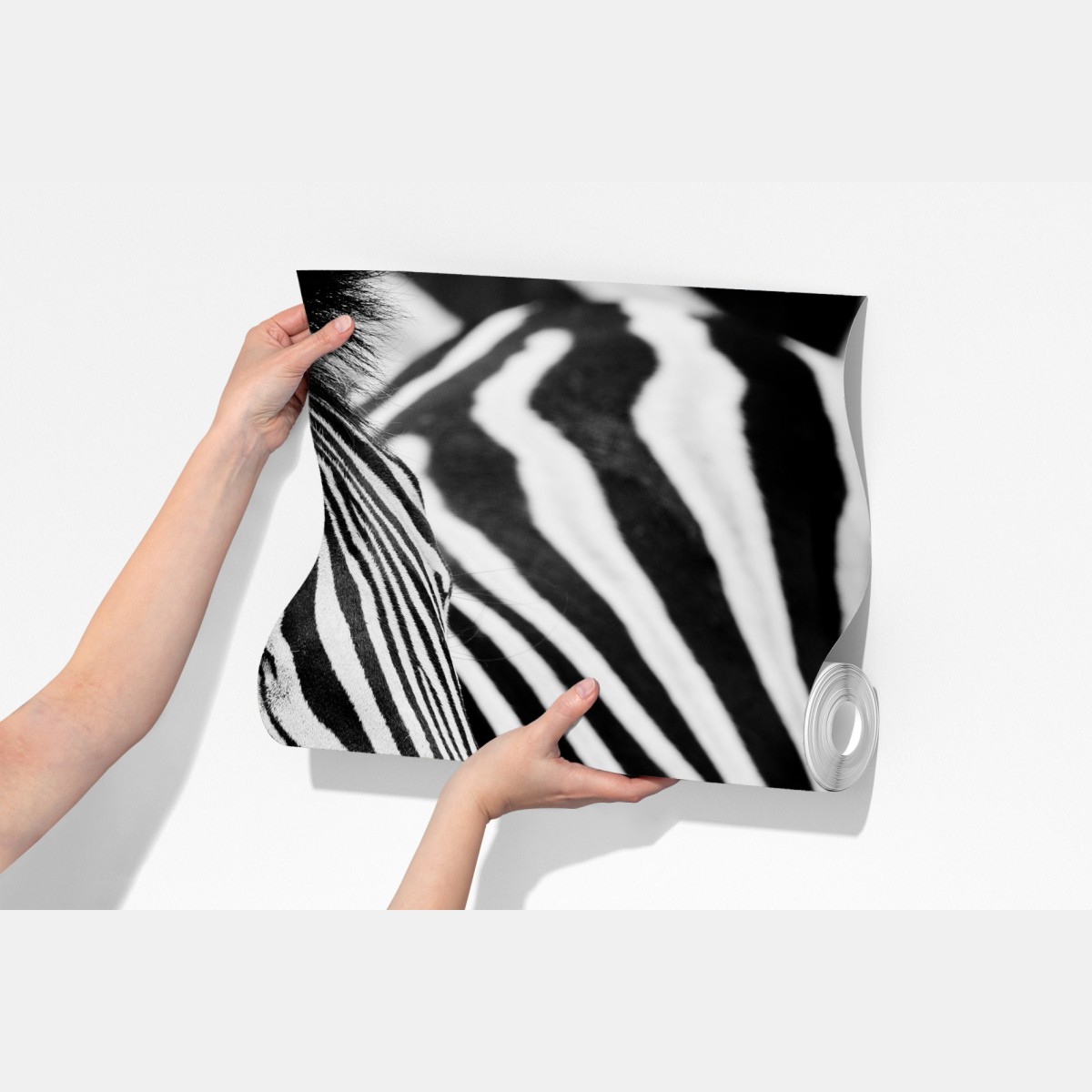 Fototapeta zebra w monochromatycznych paskach – Wallissimo® Fototapeta zebra w monochromatycznych paskach – Wallissimo®