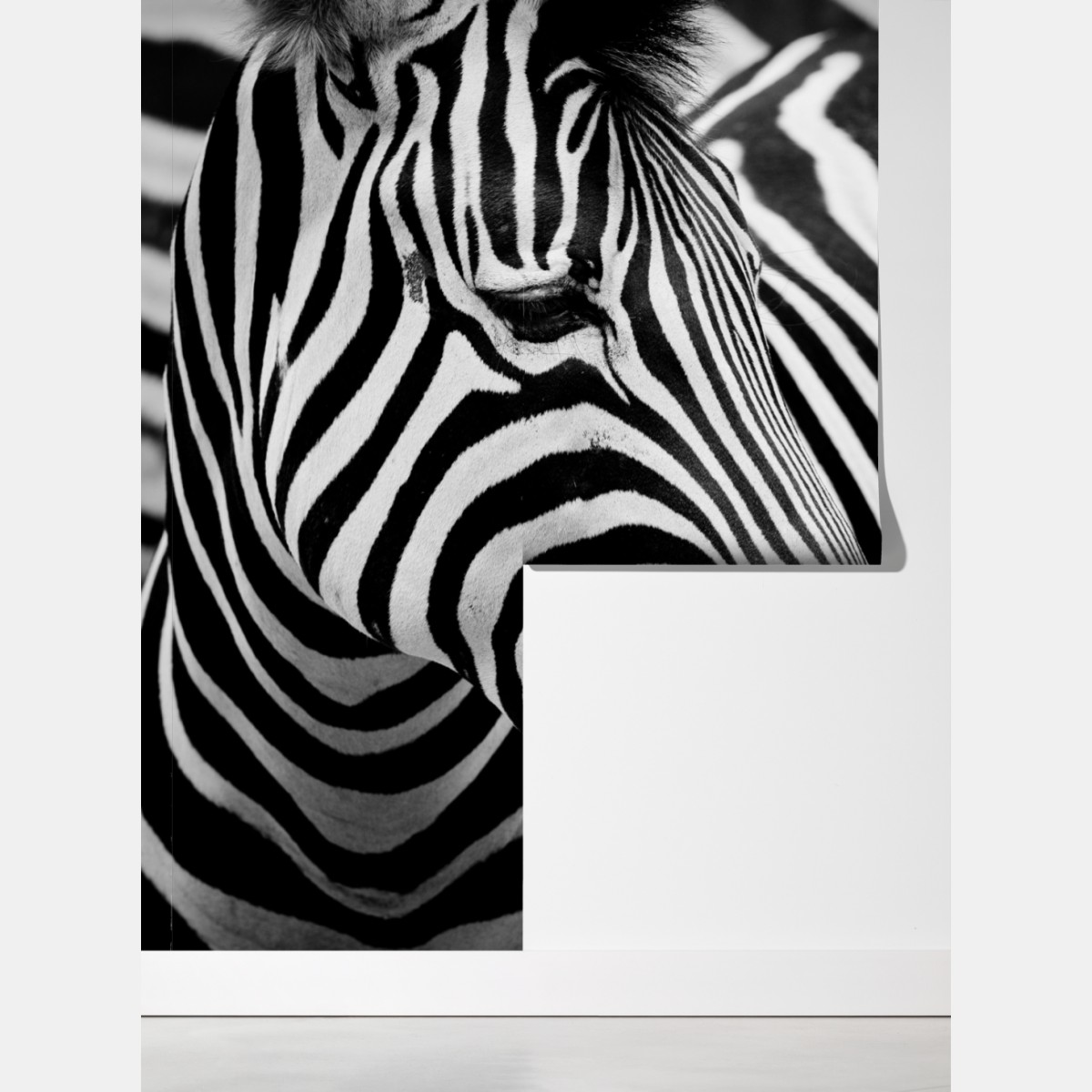 Fototapeta zebra w monochromatycznych paskach – Wallissimo® Fototapeta zebra w monochromatycznych paskach – Wallissimo®