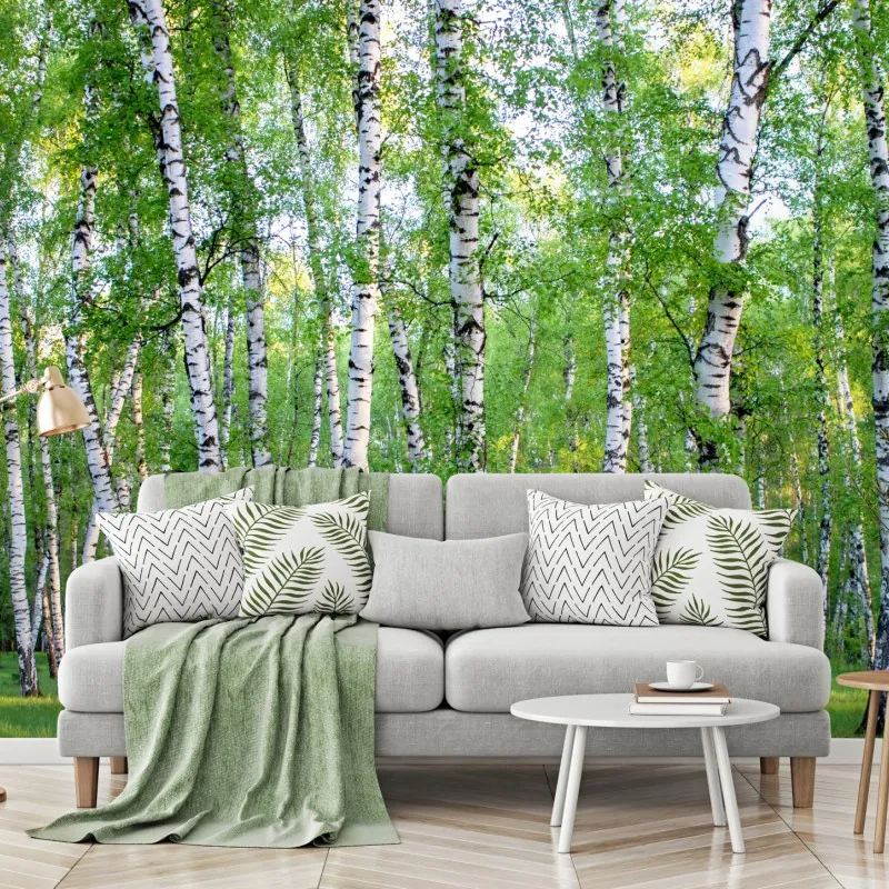 Fototapeta spokojny brzozowy gaj latem